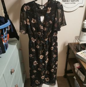 Frank and Oak midi dress